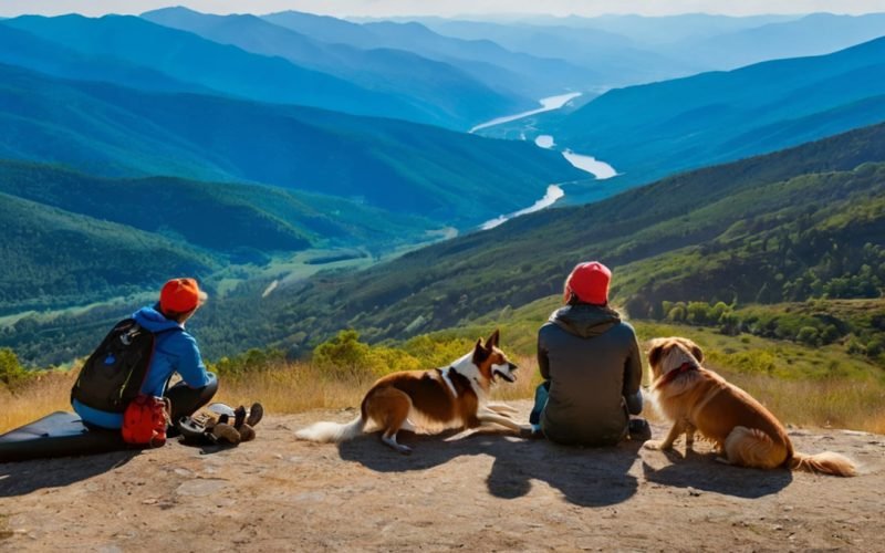 What Dog Breed Would You Guys Recommend For Backpacking, Hiking, And The Outdoors In General?